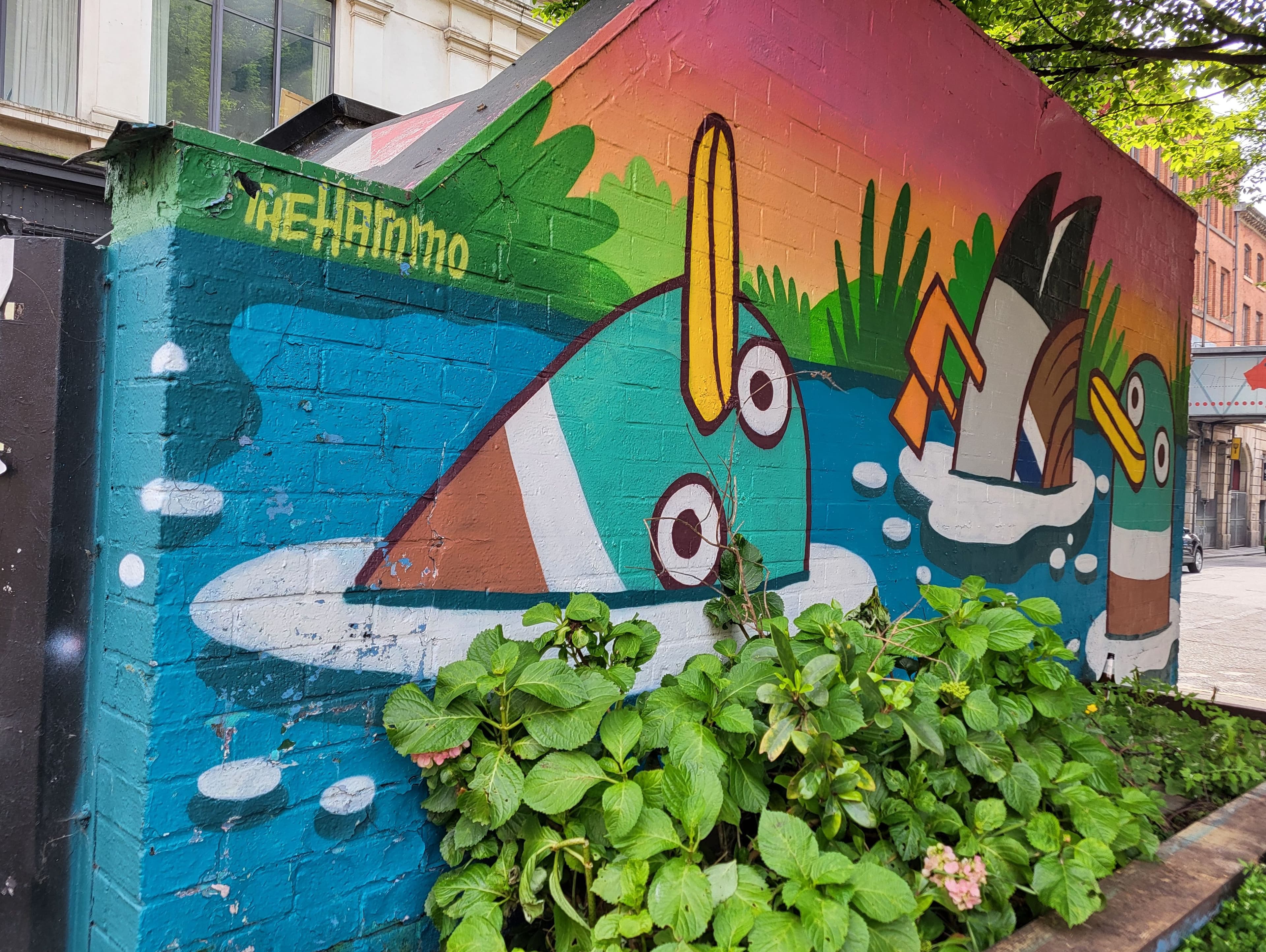 Brightly coloured wall mural showing cartoon ducks.