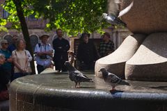 stone tour thumbnail 2